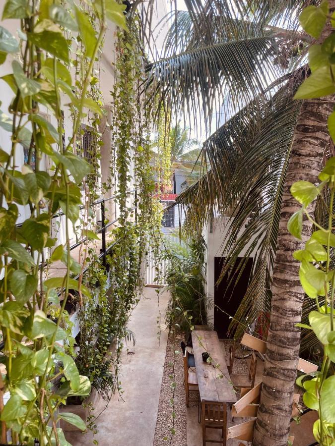 Hotel Anana Coliving à Playa del Carmen Extérieur photo