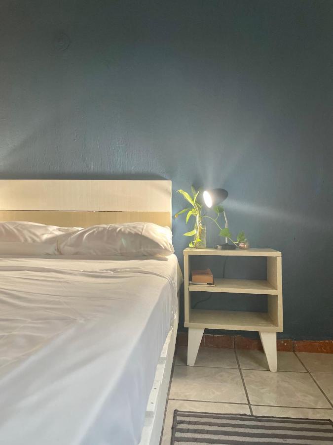 Hotel Anana Coliving à Playa del Carmen Extérieur photo