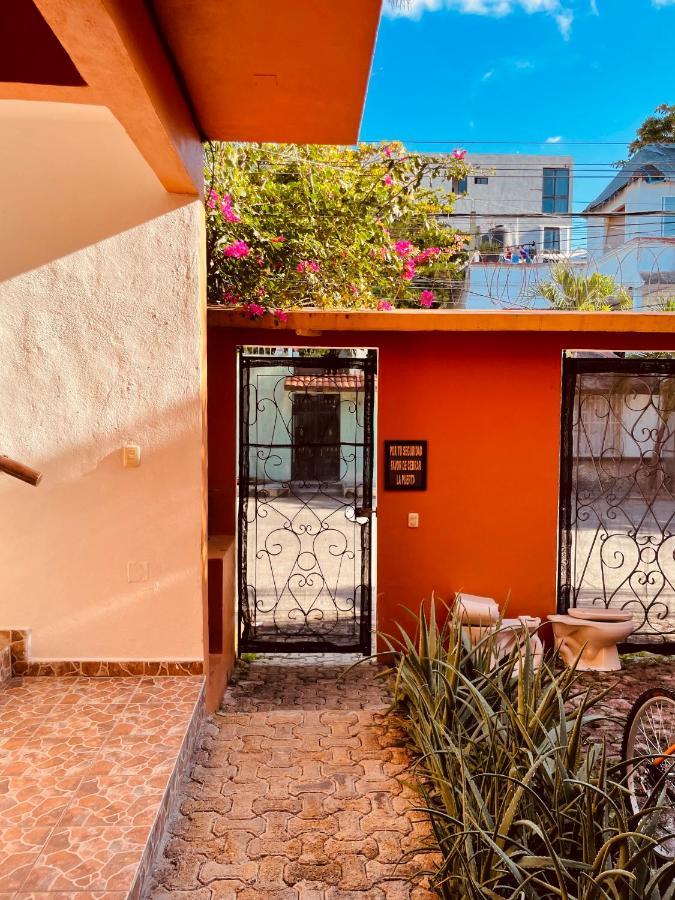Hotel Anana Coliving à Playa del Carmen Extérieur photo