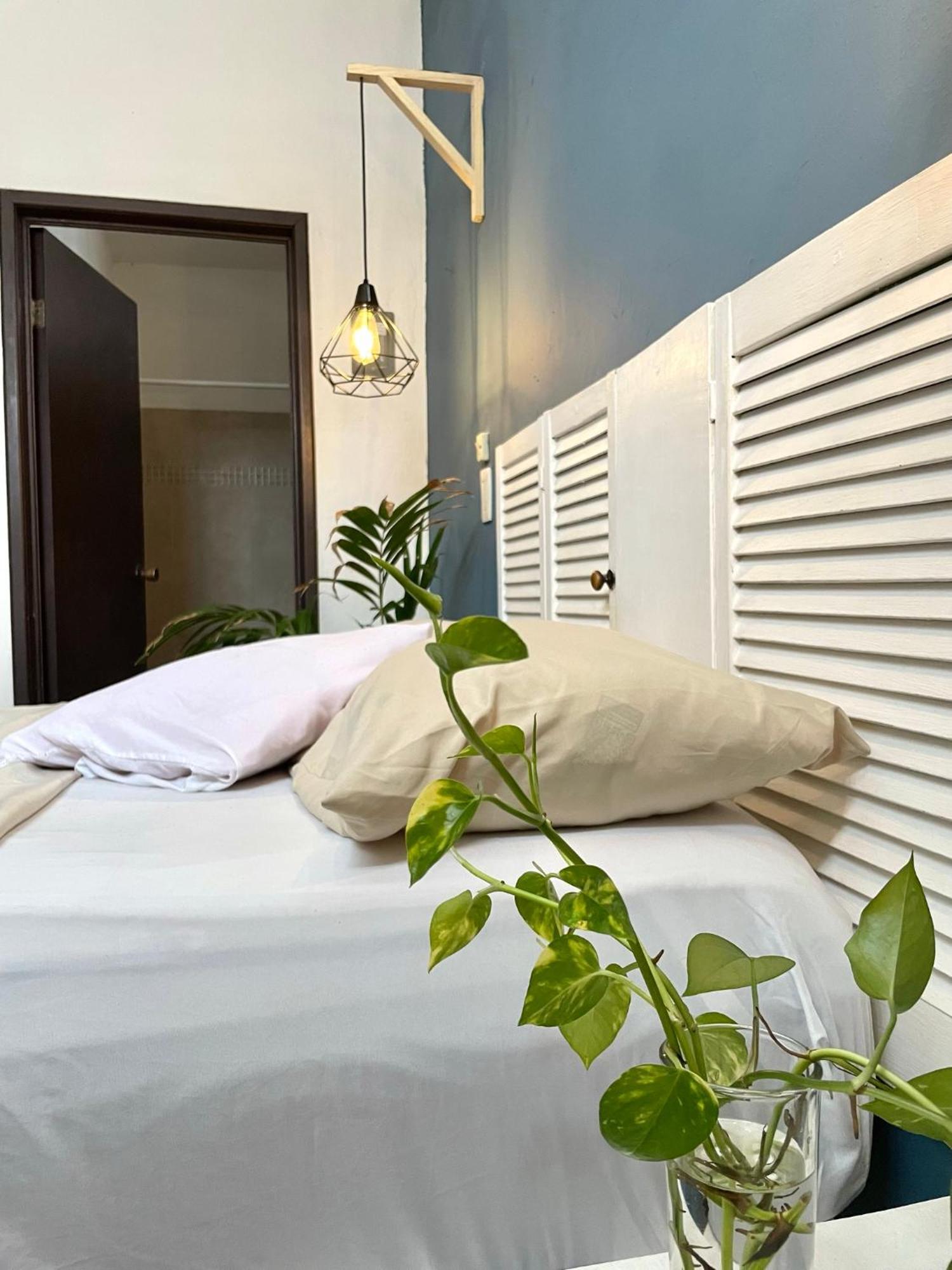Hotel Anana Coliving à Playa del Carmen Extérieur photo